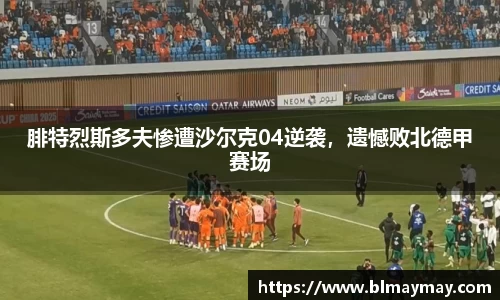腓特烈斯多夫惨遭沙尔克04逆袭，遗憾败北德甲赛场