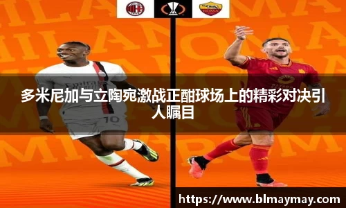 多米尼加与立陶宛激战正酣球场上的精彩对决引人瞩目